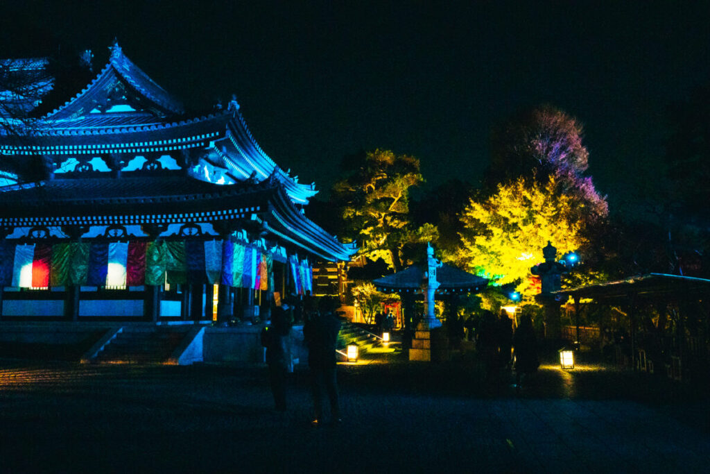 鎌倉・長谷寺の写真
